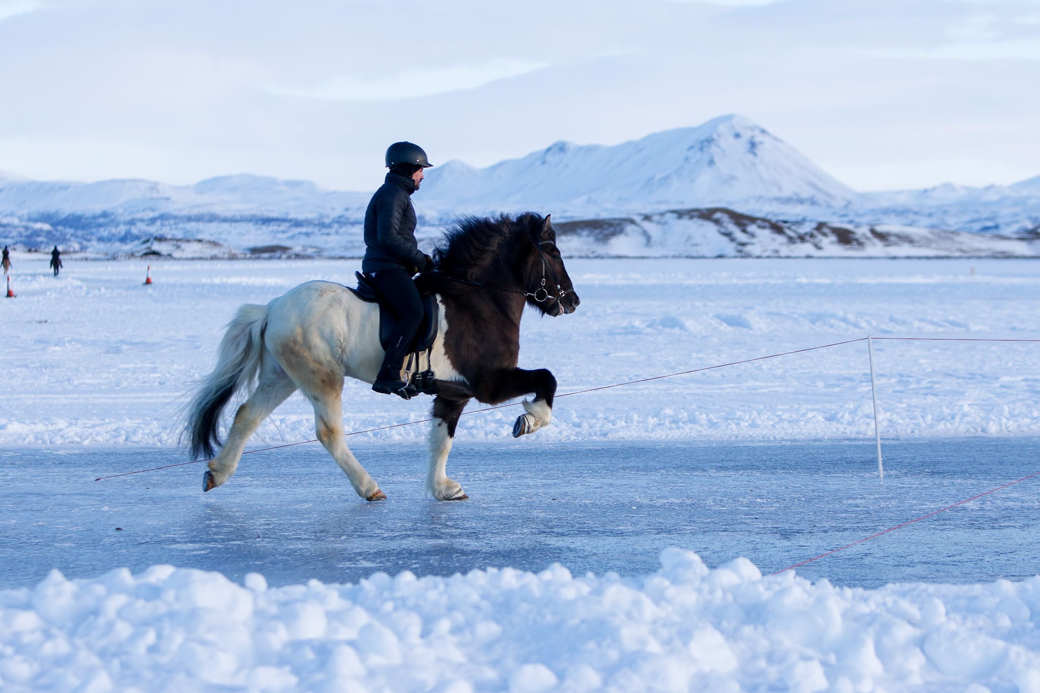 Myvatn open horses on ice