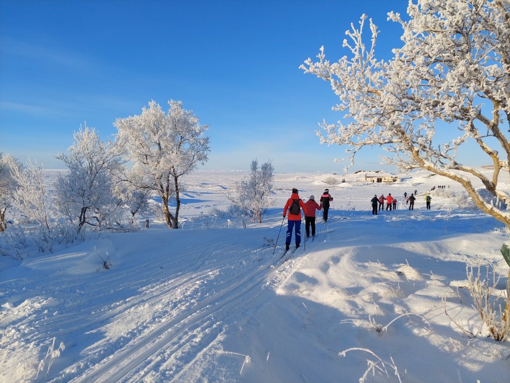 The Best Winter Activities Around Lake Mývatn