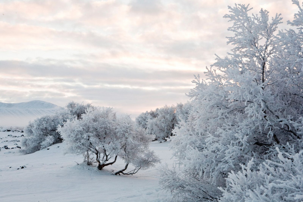 Welkomin í Mývatnssveit!