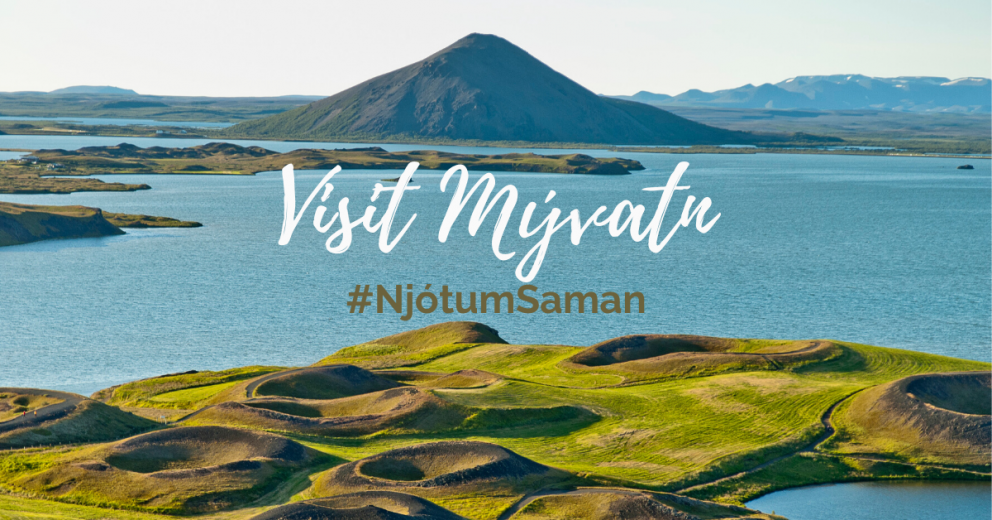 Árlega ruslahreinsunin - The Annual Clean Up Campaign