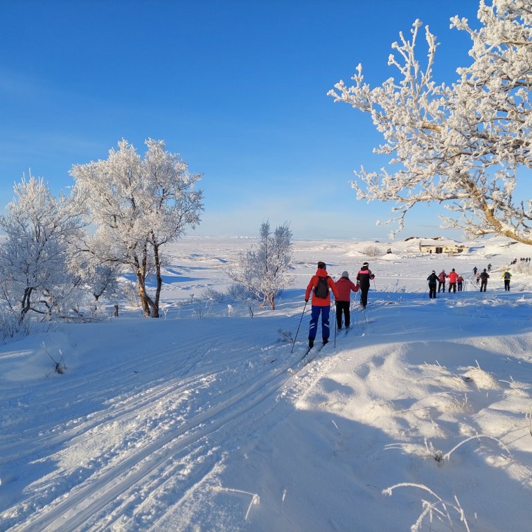 The Best Winter Activities Around Lake Mývatn